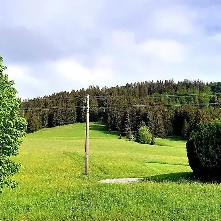 Apartment Alpenveilchen Im Oberallgaeu Mit Pool, Sauna Und Tollem Ausblick Vom Grossen Balkon *