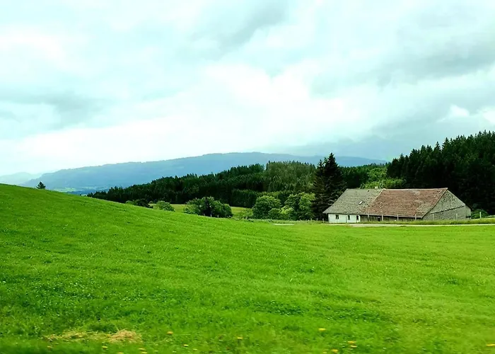 Alpenveilchen Im Oberallgaeu Mit Pool, Sauna Und Tollem Ausblick Vom Grossen Balkon 公寓 米森-维尔哈姆斯